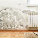 what causes mould in a house