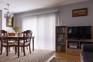 how to clean mould from vertical blinds at home