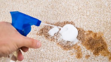 How To Choose The Best Carpet Stain Remover?