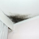 Why Is There Black Mould On My Ceiling?