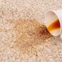 How To Get Old Tea Stains Out Of Carpet?